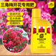 Stanley Bougainvillea flower special flower fertilizer nutrient solution household potted flower plant flowering fertilizer 500ml
