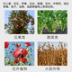 28 table high brassinolide plant growth regulator rooting and seedling foliar fertilizer vegetable flower and fruit preserving pesticide 100g