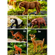 Teddy Shiguang Children's Simulation Animal Model Toys Boys and Girls Safari Farm Mini 12 Pack Birthday Gifts
