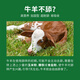 Baiyun Mugang Cattle and Sheep Licking Bricks Salt Bricks for Cattle and Sheep Nutritional Trace Elements Reinforced Mineral Feed Additives Pica and Stomach High Calcium Type Licking Bricks 2 boxes (a total of 80Jin Jin is equal to 0.5kg)