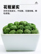 Dechengming [Vente officiellement directe] Sanqihua Yunnan Wenshan Sanqihua Thé Bulk Field Qihua Tea 37 Sanqihua Flower 100g