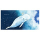 Set de libros de exploración de ciencias de Xiaoxiao (colección 1+2) (18 volúmenes en total) [Sistema solar Milky Way de Ilustración para niños Astronomía Libro de imágenes popular] Lista de libros de viajes Lista de libros de viajes Festival de primavera Vacaciones de invierno ** 13662 ** 3 Libro Cultura infantil Sichuan Publicano de niños Sichuan's Children's