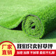 Qingya Lawn Simulated Turf Fake Grass Fence Outdoor Decoration Kindergarten Children's Playground Fake Lawn Artificial Fake Lawn 10mm Engineering Encrypted Thickened Grass