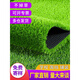 Kaosen Imitation Lawn Carpet Artificial Plastic Mat Kindergarten Football Field Green Decoration Fake Green Plant Artificial Green Turf Simulation 3cm Encrypted Thickening Upgraded Spring Grass 50 Square Meters