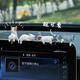 Leledi cute cartoon car pony kitten doll rearview mirror mini ornaments Lazy kitten 5 packages containing traceless glue