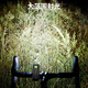 40,000 kilometers mountain road bicycle light for night riding USB charging waterproof button mountain bike high-brightness LED light