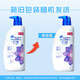 Haifei Silk Aragrance Shampoo Elegant, свежий и долгое время анти-перряхи