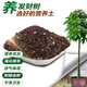 Devoduo money tree special plant nutrient soil 2.6kg gardening green plant potted flower soil planting organic matrix soil