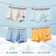 Catman Children and Teenagers Underwear Boys Class A Breathable Cotton Boxer Shorts for Middle and High School Students Development Period Light Gray + Ginger + Gray Blue + Light Blue 4 Pairs 140 (2XL) (Recommended Weight 135-155 Jin Jin is equal to 0.5 kg)