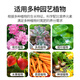 Basemanwei Urea Nitrogen Fertilizer for Flowers, Vegetables and Fruit Trees Organic Fertilizer Nitrogen Phosphorus Potash Fertilizer Granular Chemical Fertilizer for Vegetable Flowers Urea*2Jin Jin is equal to 0.5 kg
