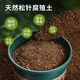 Devodoro humus pine needle soil 5L flower pot bottom mixed soil backfill water-retaining breathable cultivation green plant cultivation flower succulent paving stone