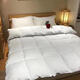 Down quilt 95 white goose down winter quilt thickened and warm student dormitory winter style spring and autumn quilt hotel antibacterial white 180x220cm8Jin Jin equals 0.5kg winter quilt