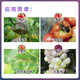 Fumei Shipu hyacinide iprodione tomato apple grape early blight spotted leaf disease gray mold fungicide pesticide 1L