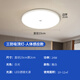 Fanyao infrared human body sensor lamp ultra-thin three-proof ceiling-mounted lamp stair aisle corridor corridor lamp smart lamp 24W-human body sensor
