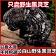 花色堂黑灵芝野生长白山500克灵芝切片干货整朵泡酒五色灵芝养生茶 [瓶装]孢子粉250克