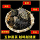 Youkang Tai'anhua black tea loose tea black tea Hunan Anhua authentic matching tea Tianjian Fu brick tea hundred liang lotus fragrance black 5 types * 1 Jin Jin equals 0.5 kg Total 5 Jin Jin equals 0.5 kg 丨 Electric steaming kettle