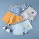 Catman Children and Teenagers Underwear Boys Class A Breathable Cotton Boxer Shorts for Middle and High School Students Development Period Light Gray + Ginger + Gray Blue + Light Blue 4 Pairs 140 (2XL) (Recommended Weight 135-155 Jin Jin is equal to 0.5 kg)