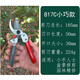 Huili Dehui fruit tree pruning shears, fruit tree branch shears, gardening pruning shears, garden labor-saving pruning thick branches, 828 labor-saving pruning shears + 1 piece + 1 spring