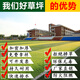 Yinghuan fire-resistant simulated turf, artificial turf, plastic fake turf, kindergarten school, green carpet, sun room insulation, 1cm adhesive-free engineering grass, full roll, 50 square meters, no cutting