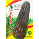 Black sweet waxy corn seeds black waxy corn sweet waxy corn seeds fresh corn non-GMO black corn wholesale black sweet waxy corn seeds original factory package new seeds 366 grains