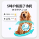 Weishi compound probiotic 5g*10 pack/box for puppies and pets added active probiotics for newborn puppies and pets probiotics to regulate the gastrointestinal tract