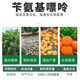 Lanyue Lanyue Baisheng 5% benzylaminopurine genuine plant growth regulator for fruit trees and citrus to promote growth and increase yield Baisheng 500ml
