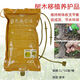 Guoguang Shita live tree nutrient solution hanging needle liquid big tree transplanting garden hanging needle bag infusion germination fertilizer 1L*10 bags/barrel