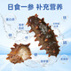 Liao Ginseng Dalian Organic Frozen Sea Cucumber Gift Box 2Jin Jin equal to 0.5kg 20-24 pieces non-ready to eat OCC flagship store solids 85%
