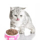 McFoodie Cat Food Fresh Meat Double Combination Full Price Natural Grain Chicken and Tuna Formula Cat Food 10kg