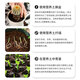 Manlife 50L imported nutrient soil universal peat soil flower growing soil vegetable soil gardening planting soil flower organic soil