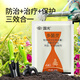 Guoguang 50% carbendazim fungicide orchid flower plant soil disinfection black spot white powdery leaf spot pesticide fungicide