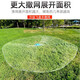 Zhanliu hand-thrown fishing net, large Frisbee-type disc, hand-thrown fishing, easy-tossing, catching, and fluttering, automatic fishing net, half-finger (high-strength fish wire), 2.4 meters high, type 480