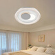 Bull X79 Luz de techo de dormitorio 2024 Lámpara de protección de los ojos altos con la sala de estar de la sala de estar de acrílico Moderna y simple X79-109069574 mm-180W