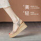 ZHR凉鞋女新品时尚捷克钻一字带坡跟女鞋夏季网红百搭透气罗马鞋子女 香槟色 （后跟6.5CM--搭扣款） 36