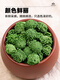 Dechengming [Vente officiellement directe] Sanqihua Yunnan Wenshan Sanqihua Thé Bulk Field Qihua Tea 37 Sanqihua Flower 100g