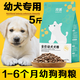 Universal Labrador puppy dog food for 0-6 months, small, medium and large dogs, Golden Retriever, Teddy Bichon, nutritional combination, stomach protection, calcium supplement, meat floss dog food 500g (1Jin Jin is equal to 0.5kg)