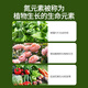 Basemanwei Urea Nitrogen Fertilizer for Flowers, Vegetables and Fruit Trees Organic Fertilizer Nitrogen Phosphorus Potash Fertilizer Granular Chemical Fertilizer for Vegetable Flowers Urea*2Jin Jin is equal to 0.5 kg