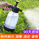 Small watering can, air pressure watering can for disinfection, spray bottle, gardening household watering can, sprayer for watering flowers, small 0.8L