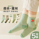 FENTENGCARE children's socks for boys, middle school, primary school students, sweat-absorbent, non-slip, breathable mid-calf socks, thin section, 3-6-12 years old YR