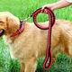 PPO large dog chain big dog leash with dog leash dog collar Alaskan German Shepherd Golden Retriever dog leash leash + snap collar red and black S size 8-15Jin Jin equals 0.5 kg Use