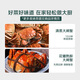 Yangcheng Lake hairy crabs (female crabs) starting from 2.8 taels/piece