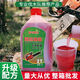 Chain saw oil garden machinery two-stroke 2T gasoline mixed combustion oil logging motorcycle oil 2 bottles