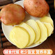 Really cheap red-skinned potatoes, plateau yellow-heart potatoes, red-skinned yellow-heart potatoes, vegetables and fruits, 5Jin Jin is equal to 0.5kg, large fruit, single fruit 150g+