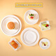 Babic Disposable Paper Plate Tableware Cake Plate BBQ Plate Western Food Plate Handmade Art Painting Paper Plate 5 inches 20 pieces