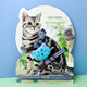Kangbeini cat rope traction rope I-shaped cat harness to prevent breakaway kitten and adult cat walking rope cat supplies blue S small size/1-6Jin Jin equal to 0.5kg for cats