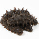 Xiaoqin Dalian ready-to-eat sea cucumbers Liao sea cucumber ready-to-eat seafood aquatic products solids 75% 1500g 24-30 pieces * 2 boxes 6Jin Jin equals 0.5kg gift box