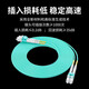 HAILE海乐 万兆多模光纤跳线LC-LC 10米 OM4双芯尾纤 Φ2.0低烟无卤抗弯曲跳纤光纤线 HJ-2LC-LC-MTA10