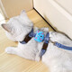 Kangbeini cat rope traction rope I-shaped cat harness to prevent breakaway kitten and adult cat walking rope cat supplies blue S small size/1-6Jin Jin equal to 0.5kg for cats