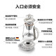 Buydeem Tea Extraction Health Pot Professional Extraction Tea Maker Household 1.5L Glass Constant Temperature Kettle Multifunctional Adjustable Darkness Kettle Good Gift K156 Oat White | Tea and Coffee Extraction | (Including Extraction Basket) 1.5L
