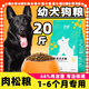 German Shepherd Puppy Dog Food 20 Jin Jin equals 0.5 kg Black East German universal golden retriever Teddy Labrador large dog 3 Jin Jin equals 0.5 kg 5kg Beef flavor pure food 3 Jin Jin equals 0.5 kg (for 1-6 months only)
